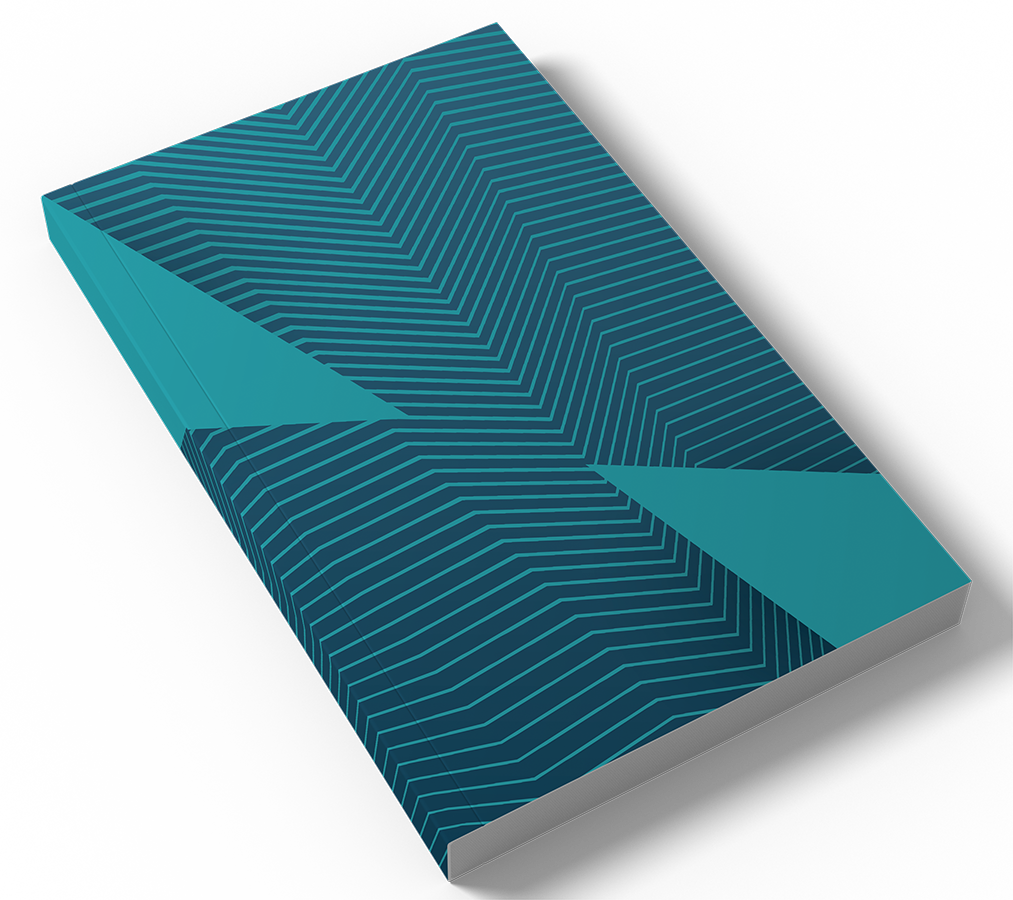 Custom Light Novel Printing - Paperback Books & Kuchi-e Color Inserts